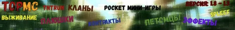 TopMC